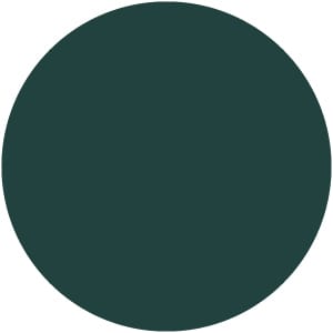 Fornasarig | Wolfgang 50X Sedia 4 gambe Verde BRG – RAL 180 20 15