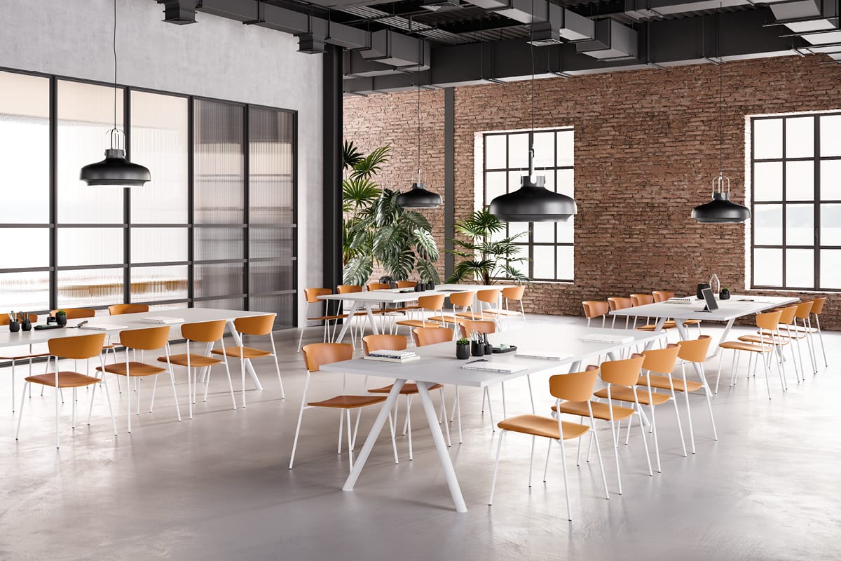 Cafeteria & Dining Spaces Fornasarig Chairs